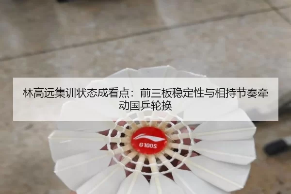 林高远集训状态成看点:前三板稳定性与相持节奏牵动国乒轮换